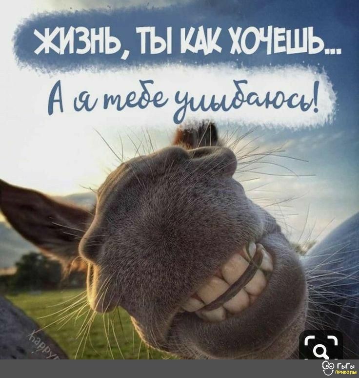 ЖИЗНЬ ТЬ Щ ХОЧЕШЬ