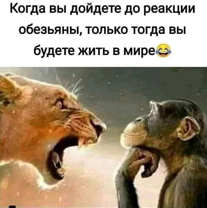 Когда вы дойдете до реакции обезьяны только тогда вы будете жить в мире
