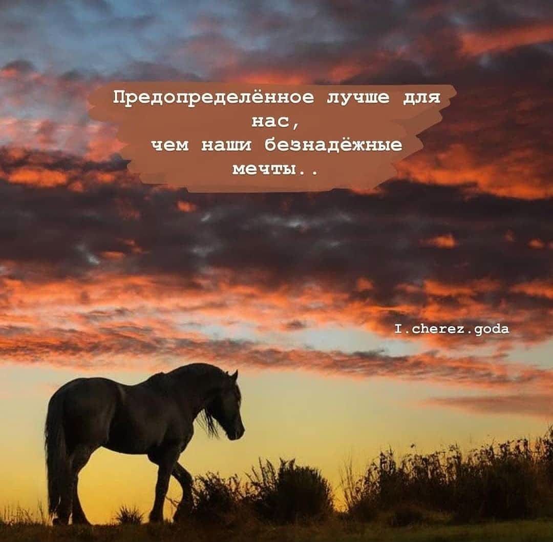 Ирейопэеделённее лучше для нае