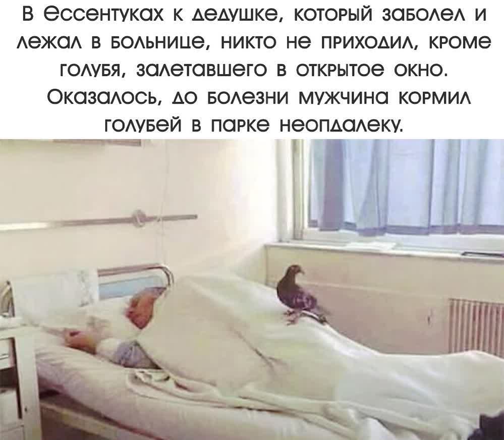 В еССЭНТУКСіХ К дедушке КОТОРЫЙ ЗОБОАеА И АеЖОА В БОАЬНИЦЭ НИКТО не ПРИХОАИА КРОМЭ ГОАУБЯ ЗОАеТОВШЭГО В ОТКРЫТОЭ ОКНО ОКОЗОАОСЬ АО БОАЭЗНИ МУЖЧИНО КОРМИА готвей В ПОРКЭ НЭОПАОАеКУ