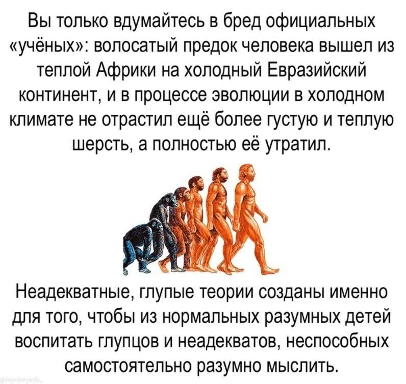 Вы только вдумайтесь в бред официальных учёных волосатый предок человека вышел из теплой Африки на холодный Евразийский континент и в процессе эволюции в холодном климате не отрастил ещё более густую и теплую шерсть а полностью её утратил Неадекватные глупые теории созданы именно для того чтобы из нормальных разумных детей воспитать глупцов и неадекватов неспособных самостоятельно разумно мыслить