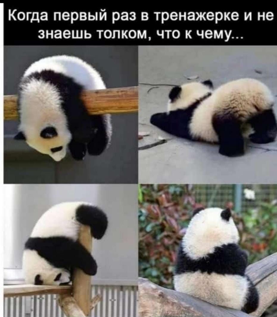 Когда первый раз в тренажерке и не знаешь толком что к чему