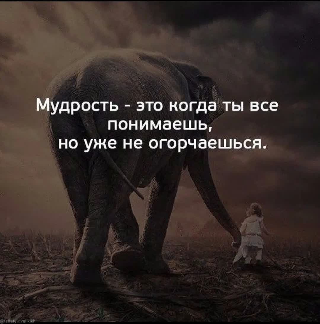 МУДРОСТЬ ЭТО когда ТЫ все ПОНИМЭЭШЬ НО уже не огорчаешься