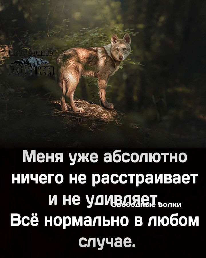 Меня уже абсолютно ничего не расстраивает И не УЛ1 Всё нормально в любом случае