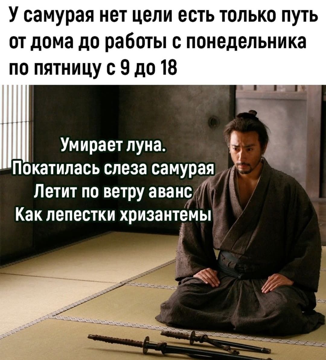 У самурая нет цепи есть только путь от дома до работы с понедельника по пятницу с 9 до 18 Умирает луна Покатипась слеза самурая Лечит по ветру аванс Как лепестки хризантемы