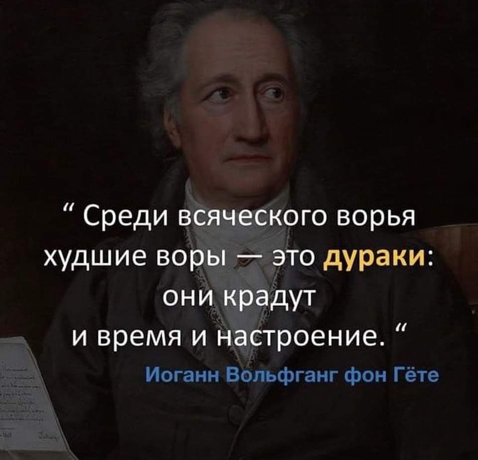 Среди всяческого ворья худшие воры это дураки они крадут и время и настроение Иоганн Вольфганг Фон Гете