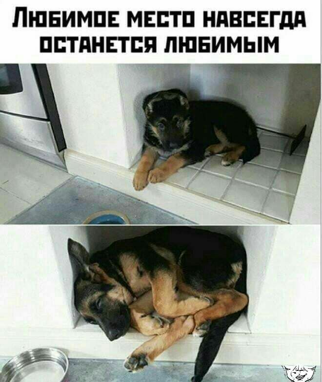 ПШЕИМПЕ МЕБТП НАВСЕГДА ПЕТПНЕТЕП ЛЮБИМЫМ