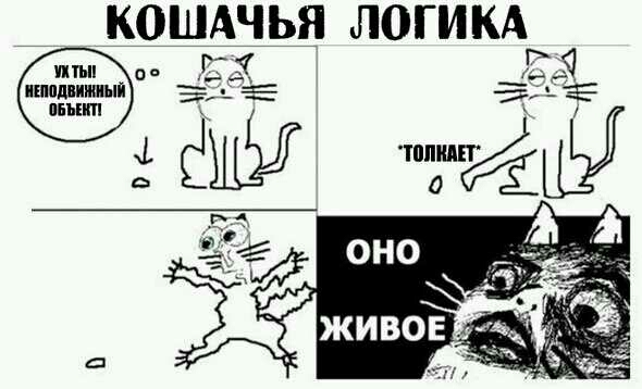 КОШАЧЬЯ ЛОГИКА птьи ое 11 тишины _ Е ь Ё пныип ЁМЫ