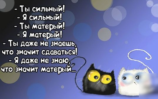 Ты сильный Я сильный Ты матерый Я матерый Ты даже не знаешь что значит сдаваться Я даже не знаю что значит матерый