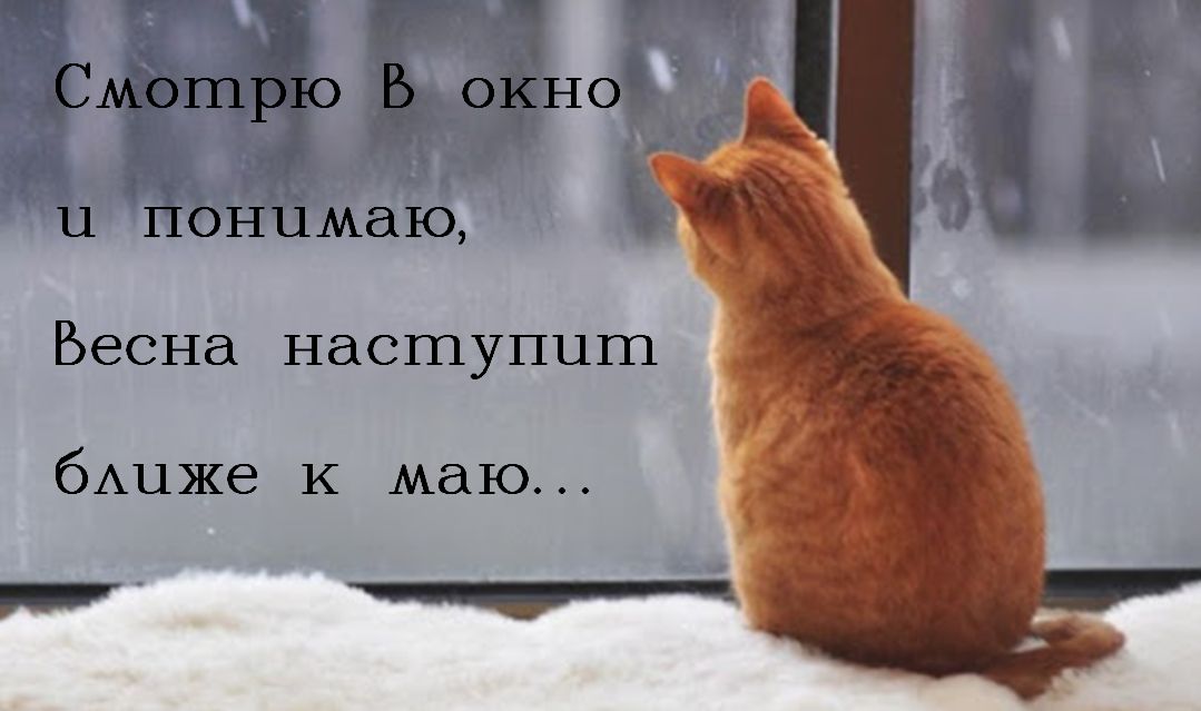 Т В СШ ОЁНО а Ё 11 ПОНЦМдЮ Весна НдСШУПЦШ бАиже к маю _