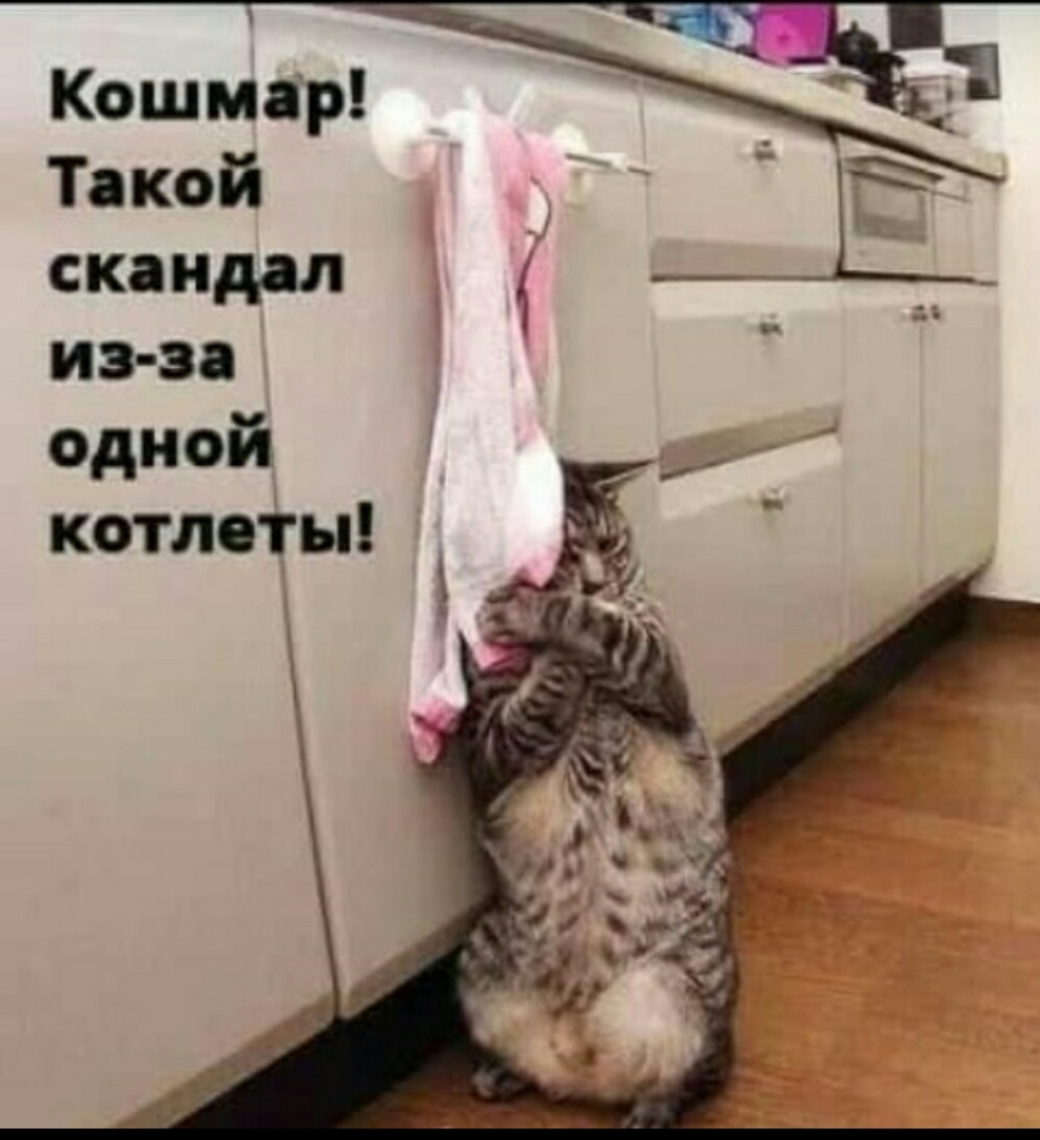 Кошмар Такой скандал _ З из эо одной котлеты
