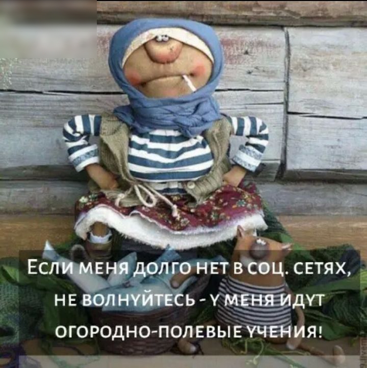 аРпЕт вжц сетях в ыдут огородно полевывияя _ мн кд ап