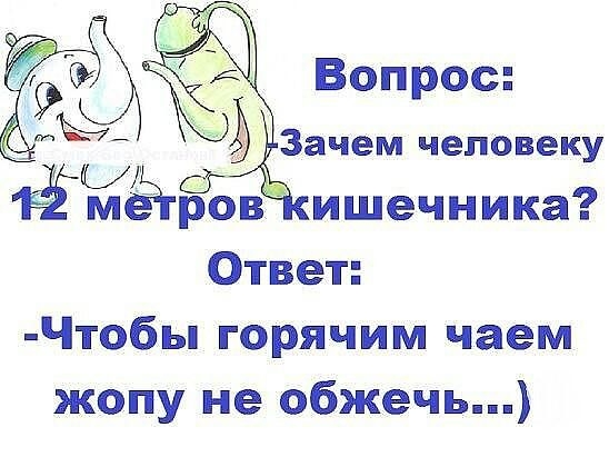 Вопрос ЭЗачем человеку ёмеьга ров ишечника Ответ Чтобы горячим чаем жопу не обжечь