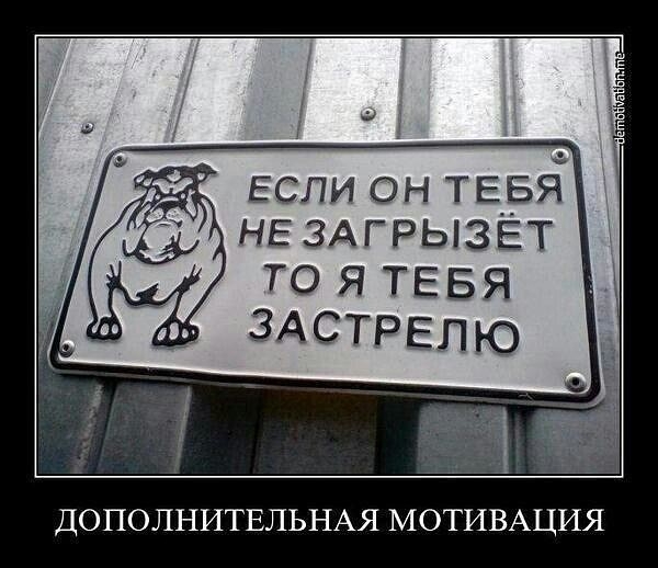 ЕСЛИ он ТЕБЯ НЕ ЗАГРЫЗЕТ ТО Я ТЕБЯ здстрвлю ДОПОЛНИТЕЛЬНАЯ МОТИВАЦИЯ