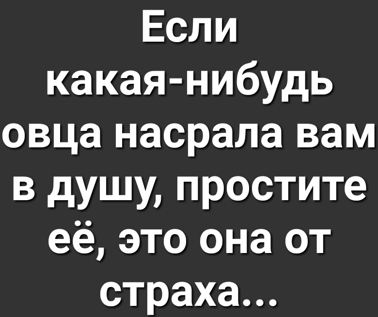 Если какая нибудь овца насрала вам в душу простите её это она от страха