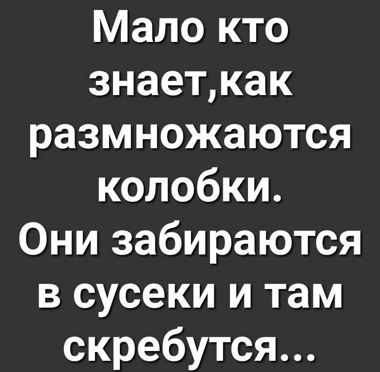 Мало кто знаеткак размножаются колобки Они забираются в сусеки и там скребутся