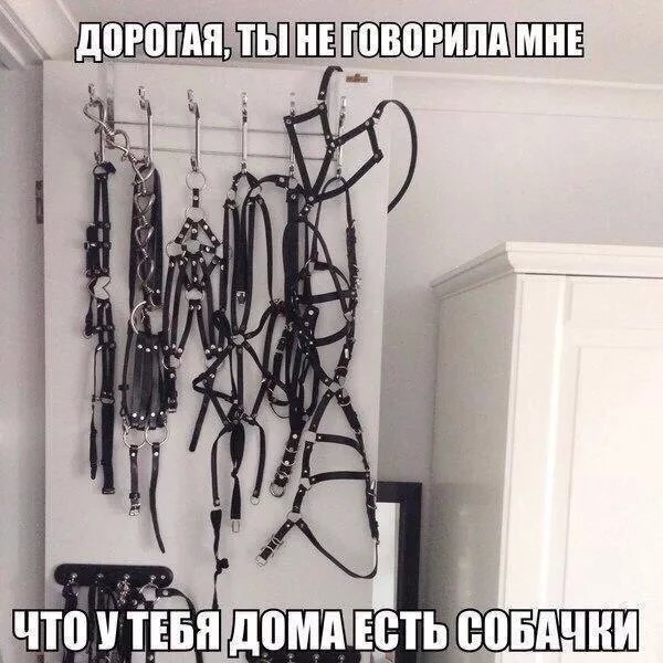 _ ЩШЩ