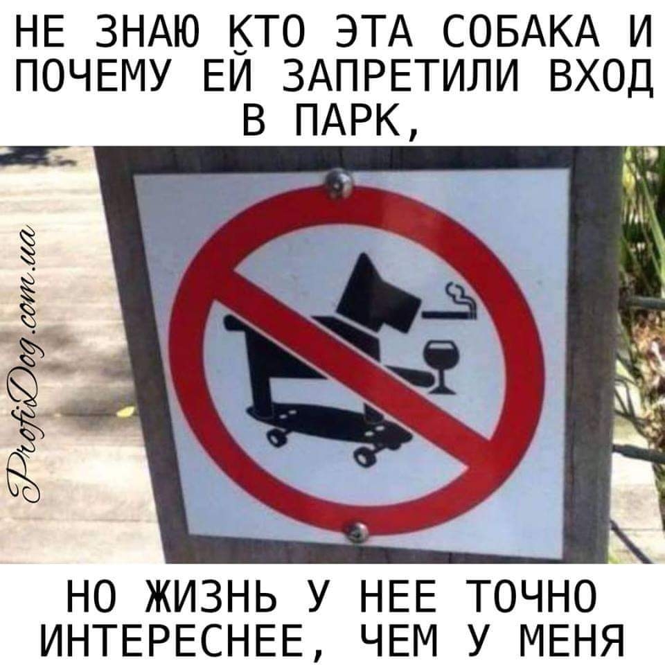 НЕ ЗНАЮ КТО ЭТА СОБАКА И ПОЧЕМУ ЕИ ЗАПРЕТИЛИ ВХОД НО ЖИЗНЬ У НЕЕ ТОЧНО ИНТЕРЕСНЕЕ ЧЕМ У МЕНЯ
