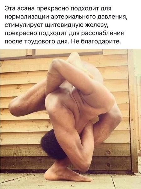 Эта асана прекрасно подходит для нормализации артериального давления стимулирует щитовидную железу прекрасно подходит для расслабления после трудового дня Не благодарита