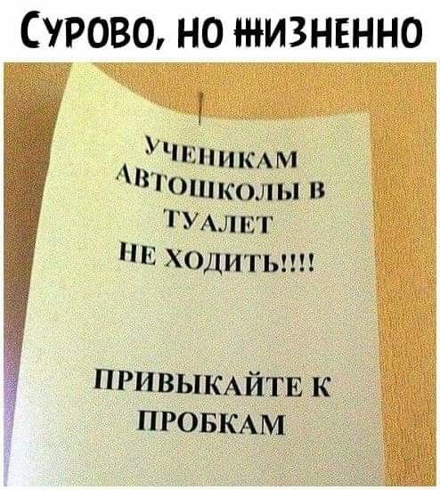 СУРОВО НО ИЗНЕННО УЧЕНИКАМ Тошколы в ТУАЛЕТ НЕ ходитьшъ _ ПРивыкАйтЁк _ ПРОБКАМ