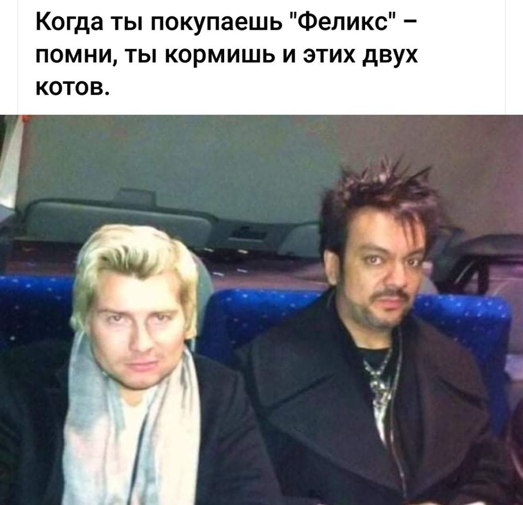 Когда ты покупаешь Феликс помни ты кормишь и этих двух котов