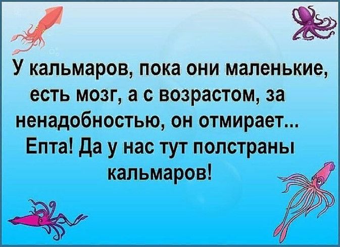 ае У кальмаров пока они маленькие есть мозг а с возрастом за ненадобностью он отмирает Епта Да у нас тут полстраны кальмаров