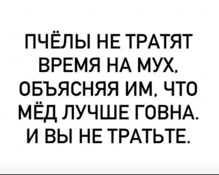пчЁлы НЕ ТРАТЯТ ВРЕМЯ НА мух овъясняя им что мЕд ЛУЧШЕ ГОВНА и вы НЕ ТРАТЬТЕ