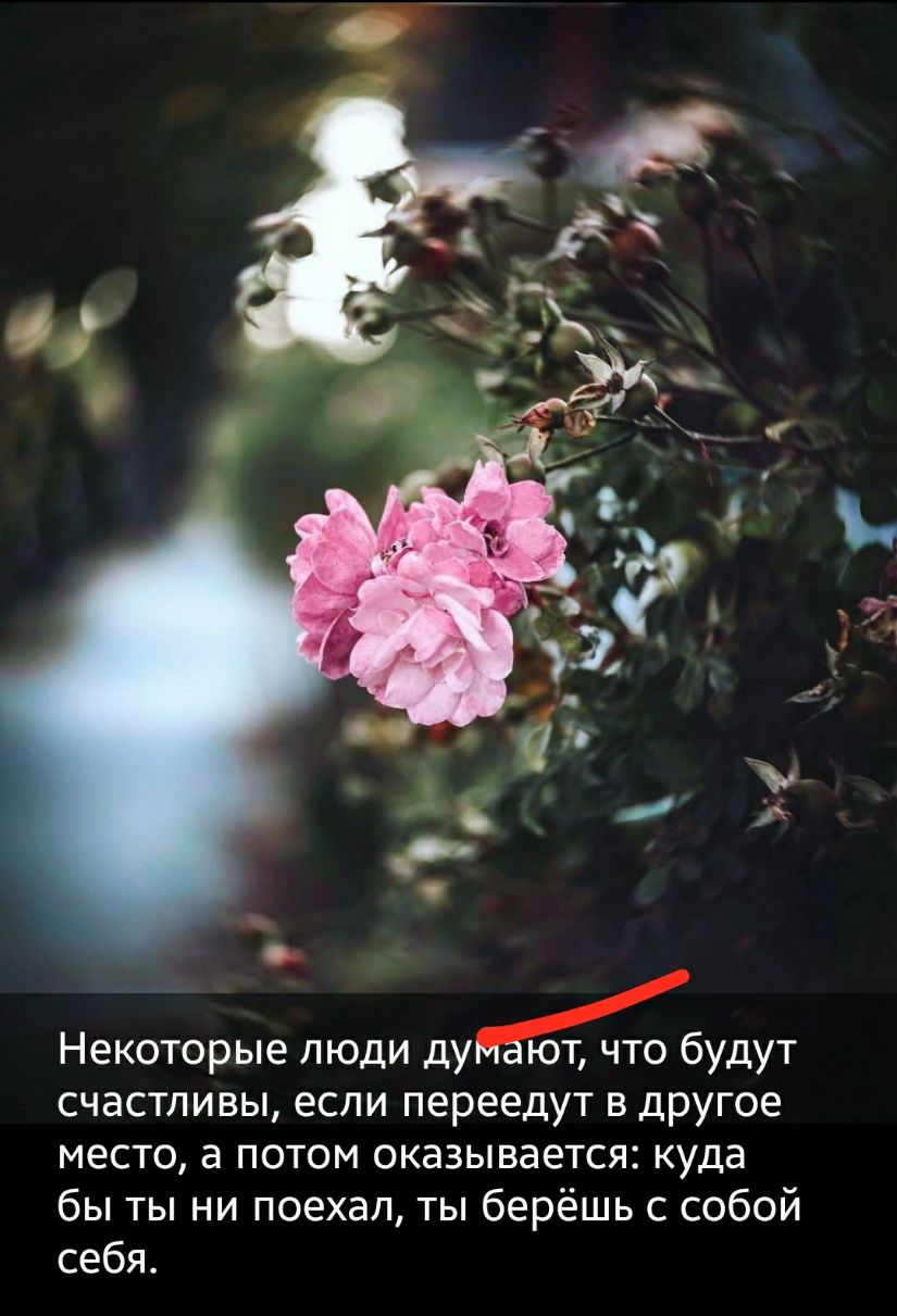 Некоторые люди дубудут счастливы если переедут в другое место а потом оказывается куда бы ты ни поехал ты берёшь с собой себя