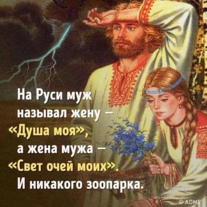 душа мая а жена нужд Свет очей моих