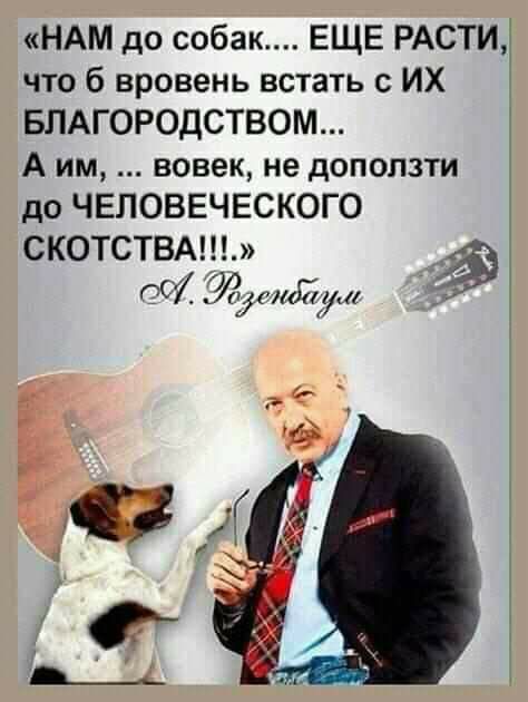 ндм до собак ЕЩЕ РАСТИ что б вровень встать с ИХ БЛАГОРОДСТВОМ А им вовек не доползти до ЧЕЛОВЕЧЕСКОГО СКОТСТВАЩ 06 фии