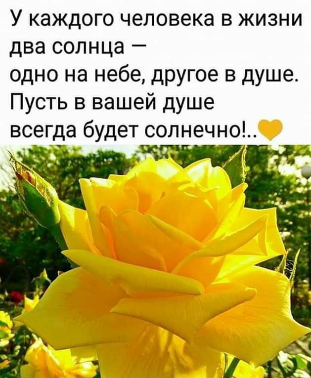 У каждого человека в жизни два солнца одно на небе другое в душе Пусть в вашей душе всегда будет сопнечно