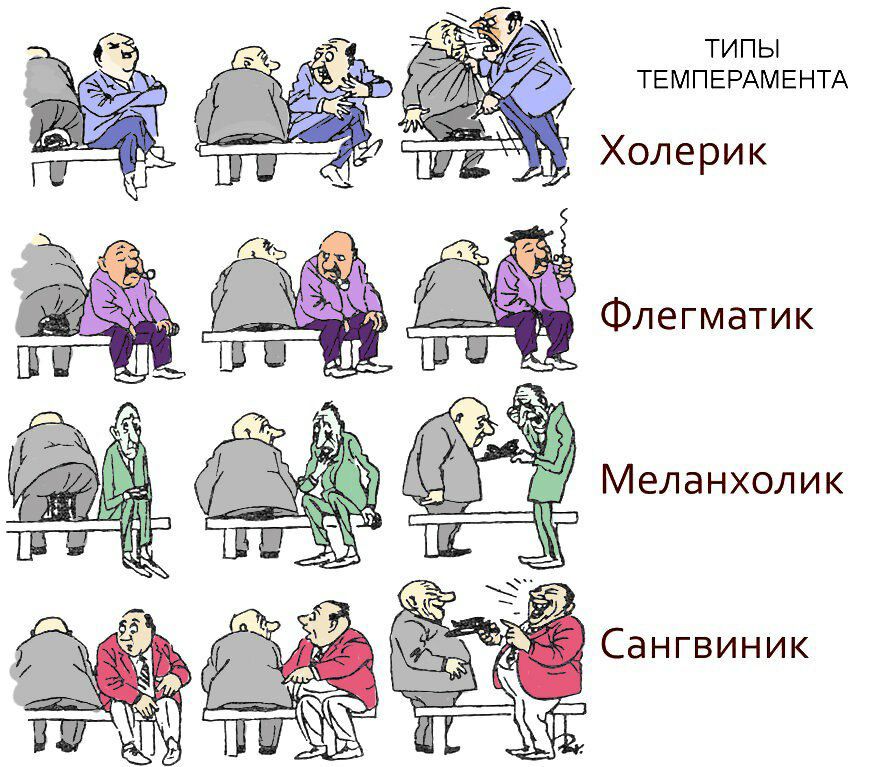 ТИПЫ ТЕМПЕРАМЕНТА Холерик Флегматик Меланхолик Сангвиник