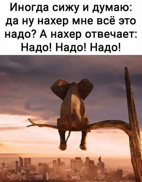 Иногда сижу и думаю да ну нахер мне всё это надо А нахер отвечает Надо Надо Надо