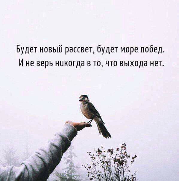 Будет новый рассвет будет море побед И не верь никогда в то что выхода нет