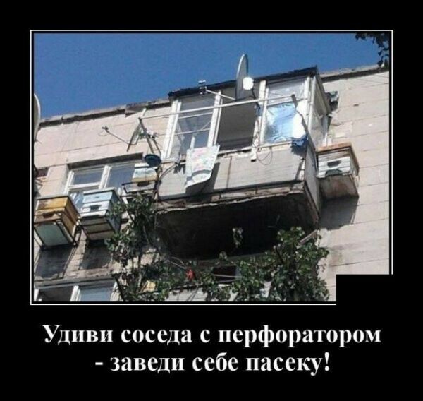 Удиви соседа с перфоратором заведи себе пасеку