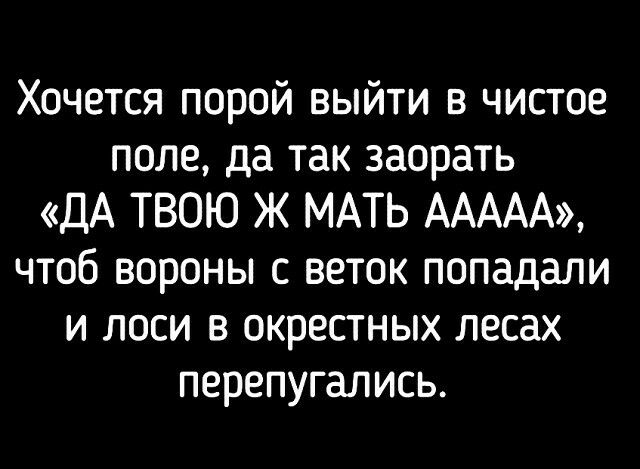 Хочется порой выйти в чистое поле да так заорать ДА ТВОЮ Ж МАТЬ ААААА чтоб вороны с веток попадали и лоси в окрестных лесах перепугались
