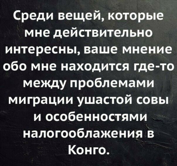 Среди вещей которые мне действительно интересны ваше мнение обо мне находится где то между проблемами миграции ушастой совы и особенностями налогооблажения в Конго