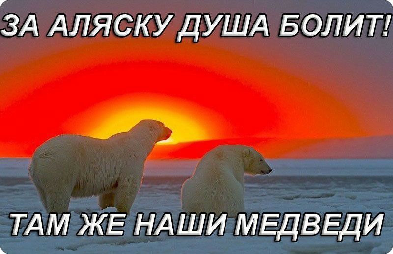 ГЗА АЛЯСКУДУША Болит А ТАМ ЖЕ НАШИ МЕДВЕДИ