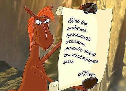 59 вы такова приводи