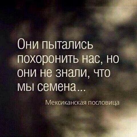 Ё Они пытались _ похоронить Ёас но они нё знали что мы сеМена Мексиканская пословица 7 а