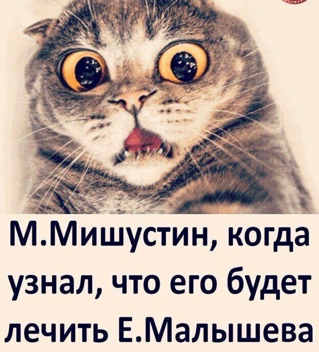 ММишустин когда узнал что его будет лечить ЕМалышева