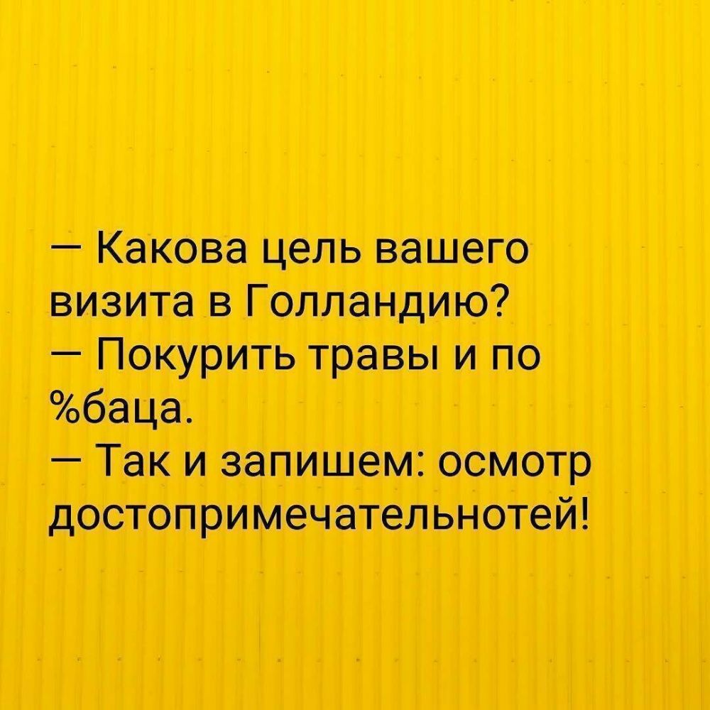Какова цель шт Г олмндию Покурить травы и по тица Так и запишем осмотр достопримсчатвльнтй