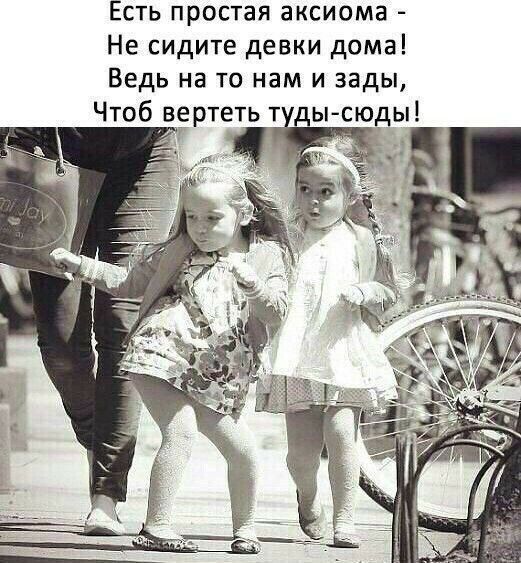 Есть простая аксиома Не сидите девки дома Ведь на то нам и зады Чтоб вертеть т дысюды