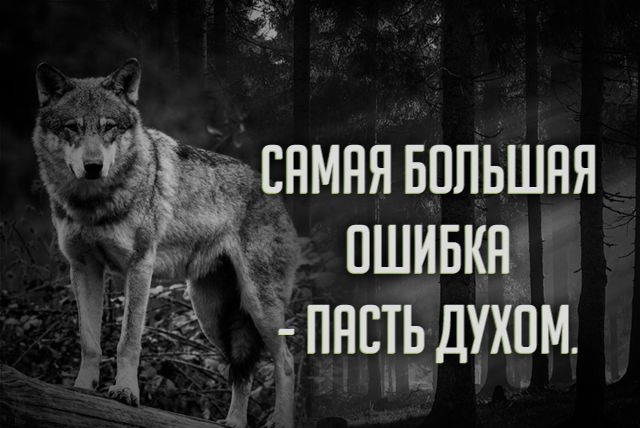 снмнявппьшня пшивкн пнстьдухпм