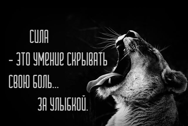 ШИН ЗТП ЧМЁННЕ ЕНРЫВПТЬ нпшвппы ЗП ЧЛЫБНПП