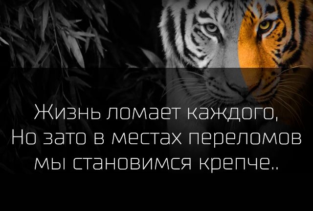 Жизъ Но зато Ь ЛОМЭЕТ КЭЖДОГО В МЕСТЭХ ПЕВЕЛОМО МЫ С ЭНОВИМСЯ КВЕПЧЕ З