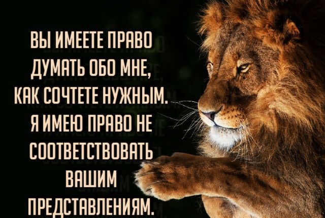 ВЫ ИМЕЕТЕ ПРНВП ДУМПТЬ ОБО МНЕ КПК БПЧТЕТЕ НУЖНЫМ Я ИМЕЮ ПРНВП НЕ ШПТВЕТЕТВПВНТЬ_ пръдстнвлвниям