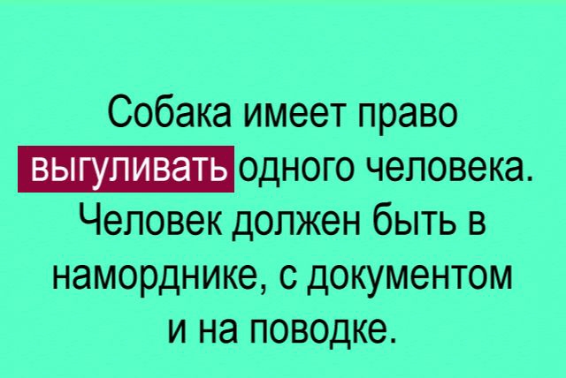 Собака имеет право _одного человека Человек должен быть в наморднике с документом и на поводке