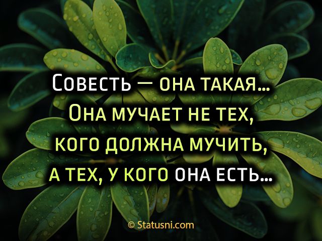 СОВЕСТЬ _ ОНА ТАКАЯ чр_ъ ОНА МУЧАЕТ НЕ ТЕХ КОГО ДОЛЖНА МУЧИТЬ _Ъ А ТЕХ У КОГО ОНА ЕСТЬ 553п5пі сот