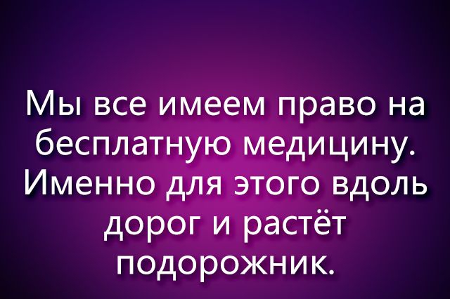 Мы все имёдемправо на П0д0р0ЖН И К
